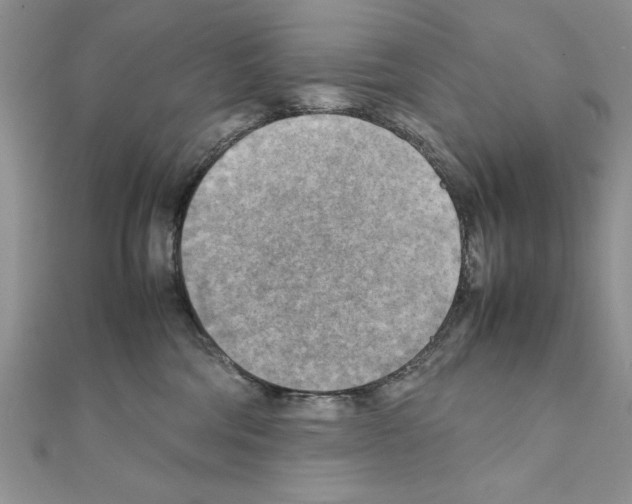 X0000111350330200908211240