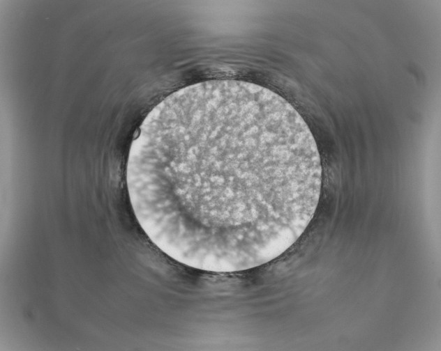 X0000111350331200908211240