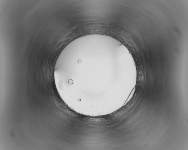 X0000111350332200908211240