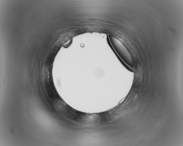 X0000111350333200908211240
