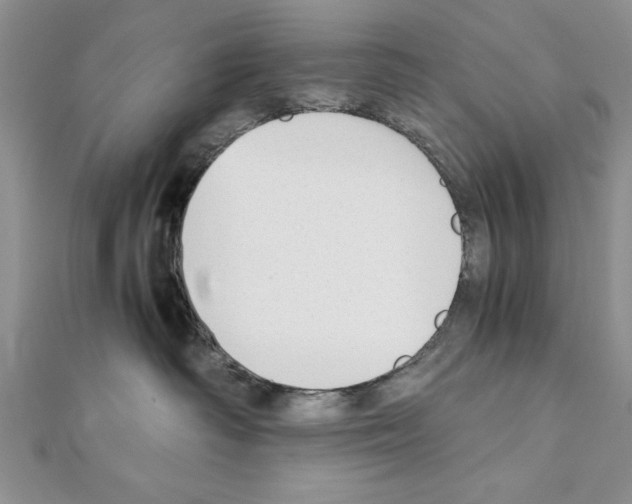 X0000111350334200908211240