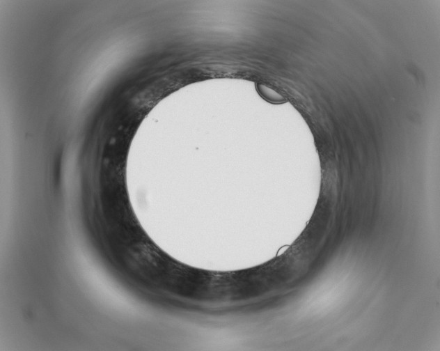 X0000111350335200908211240