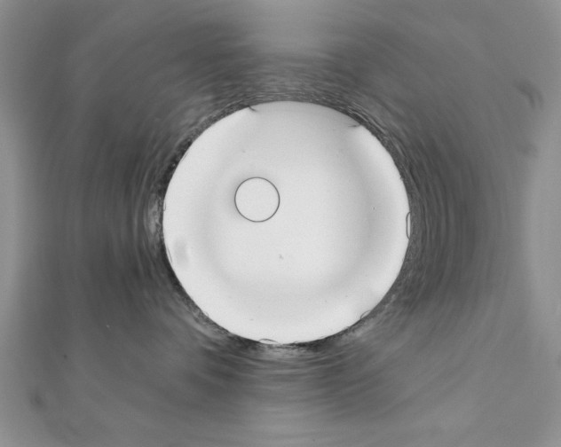 X0000111350336200908211240