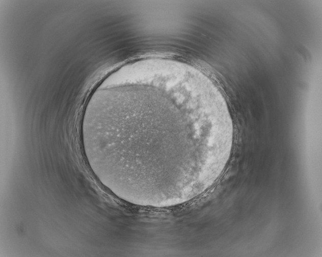 X0000111350337200908211239