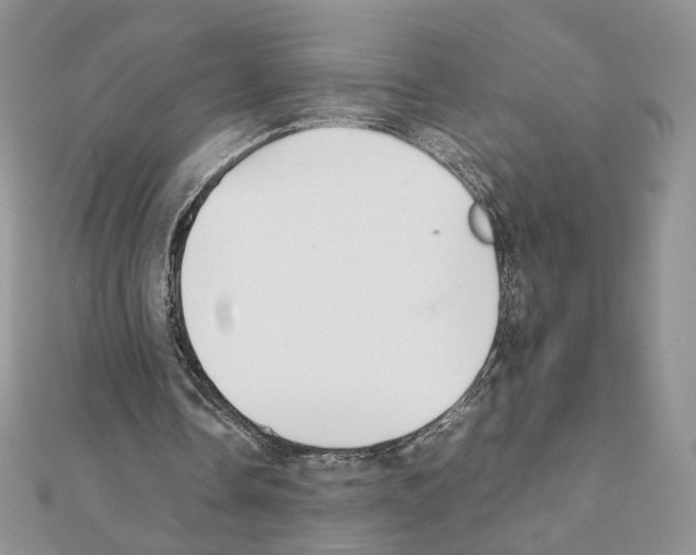 X0000111350338200908211239