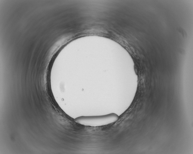 X0000111350340200908211239