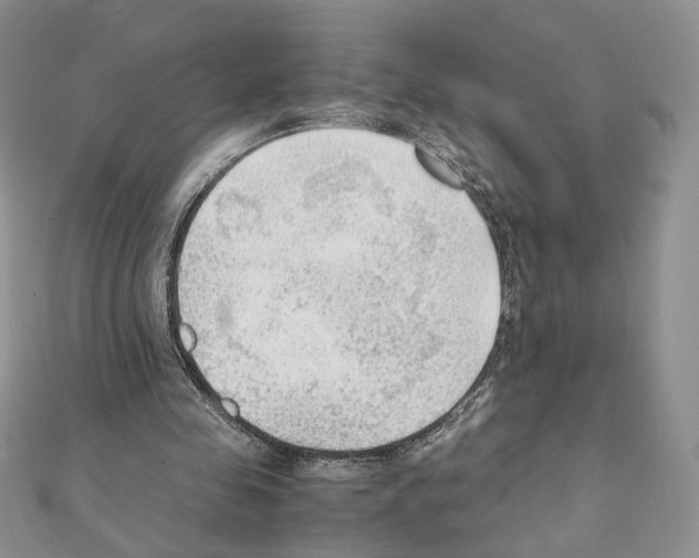 X0000111350341200908211239