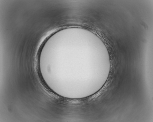 X0000111350342200908211239