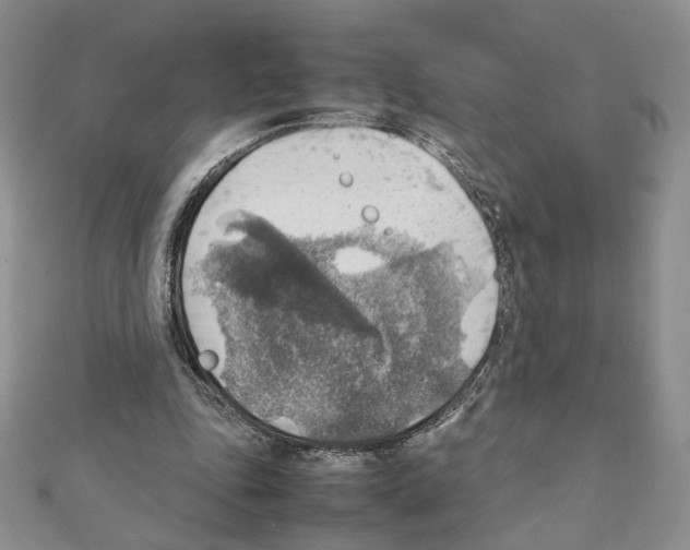 X0000111350343200908211239