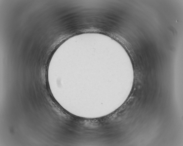 X0000111350345200908211239