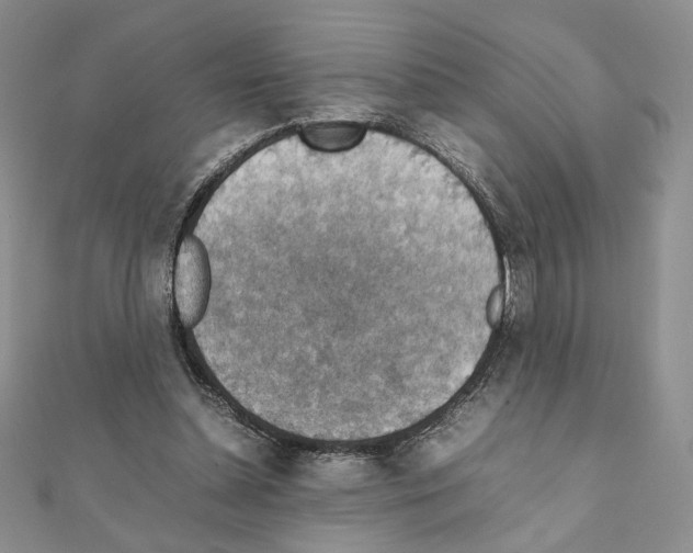 X0000111350348200908211239