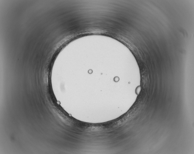 X0000111350350200908211239