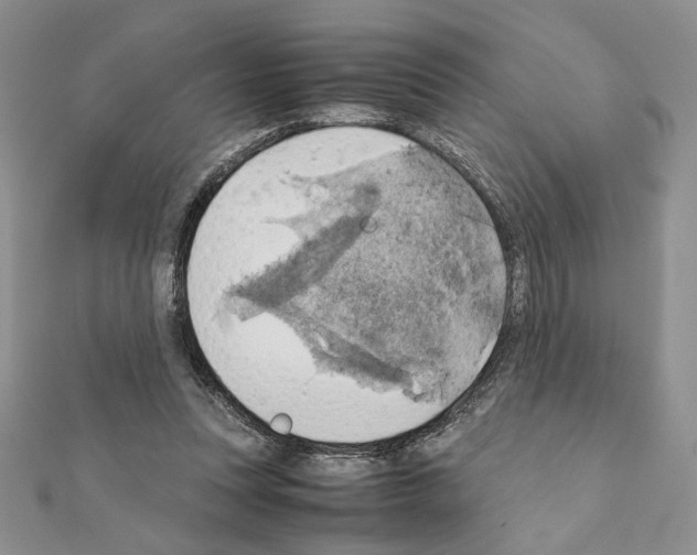 X0000111350351200908211239