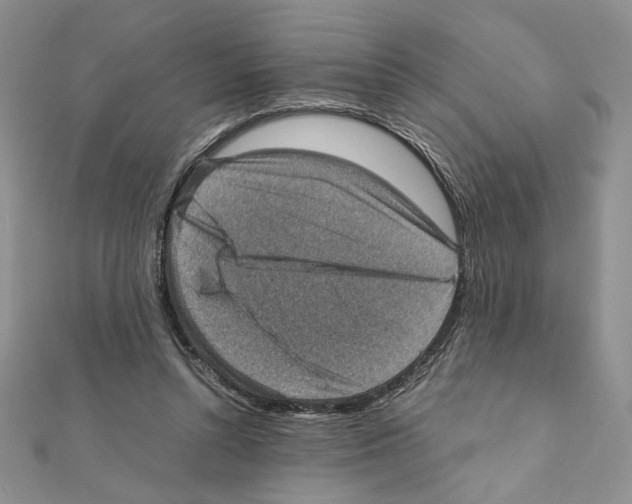 X0000111350352200908211239