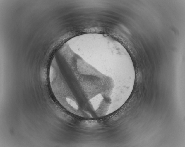 X0000111350353200908211239