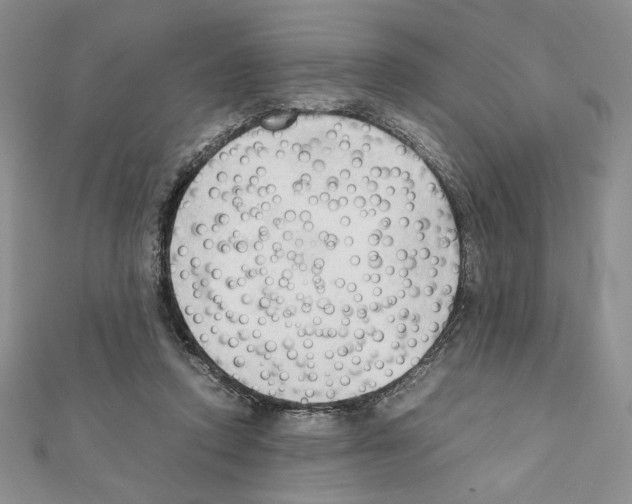 X0000111350354200908211239