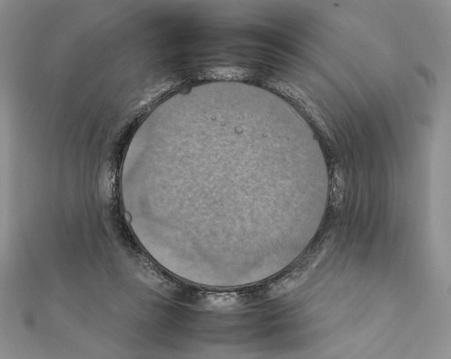 X0000111350355200908211239