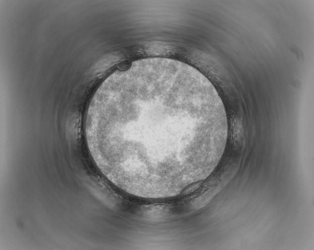 X0000111350356200908211239