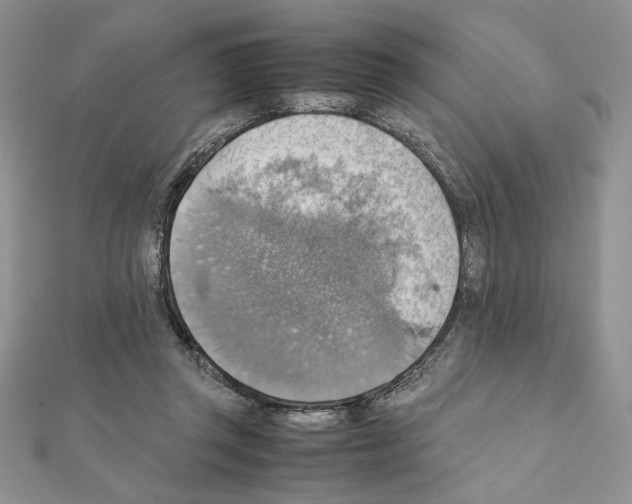 X0000111350357200908211239