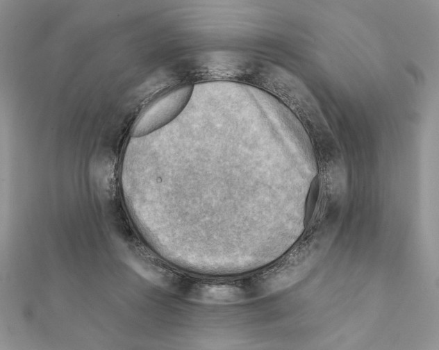 X0000111350360200908211239