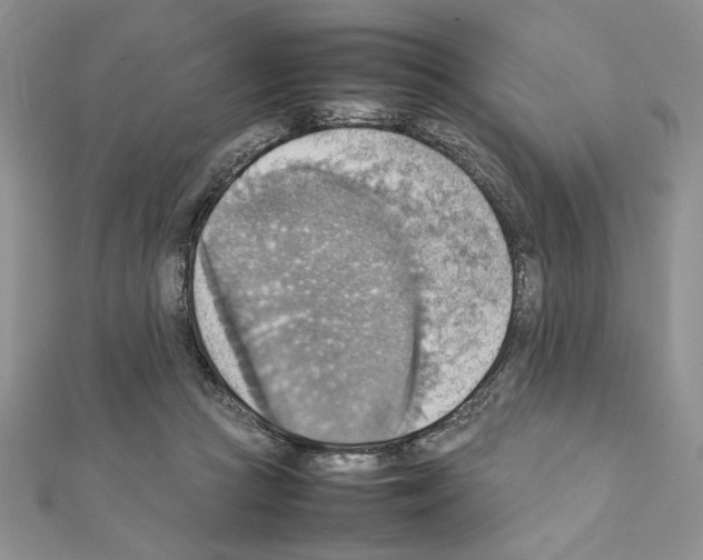 X0000111350361200908211239