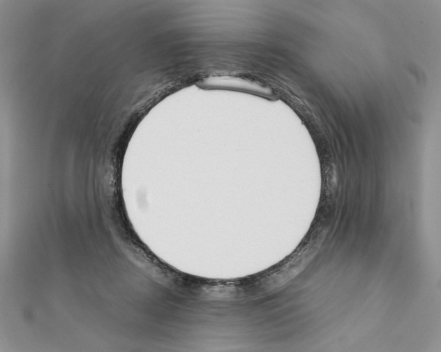 X0000111350362200908211239