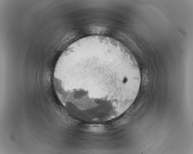 X0000111350363200908211239