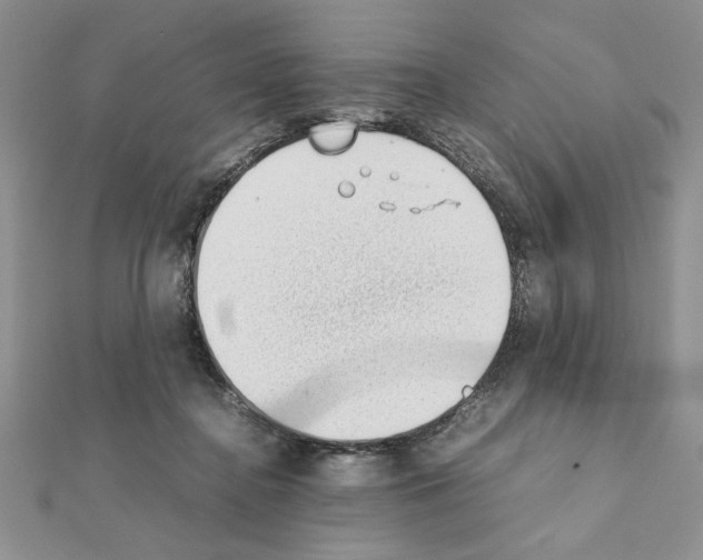 X0000111350364200908211240