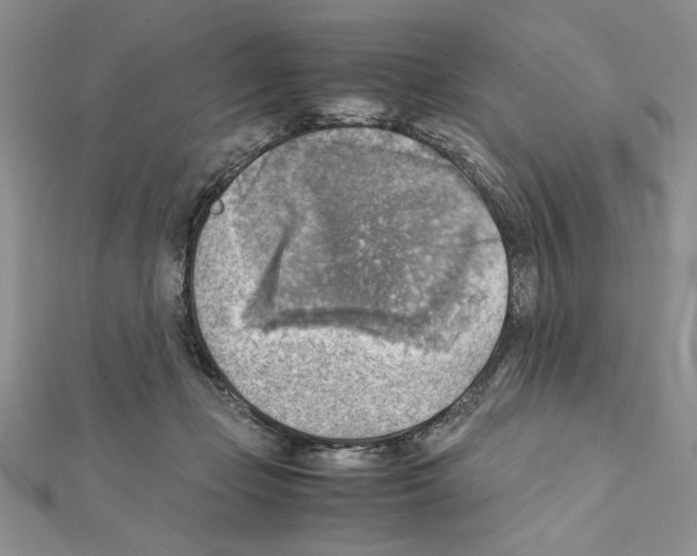 X0000111350365200908211240
