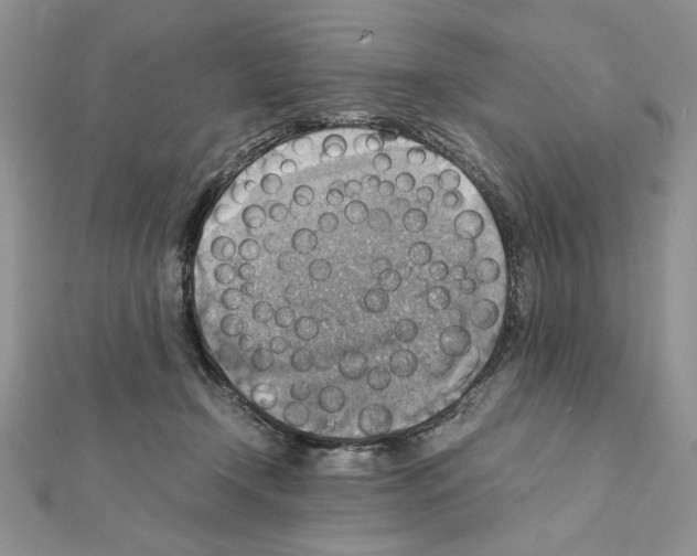 X0000111350366200908211240