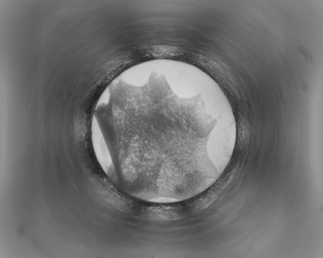 X0000111350367200908211240