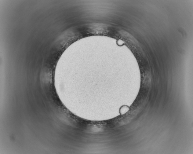 X0000111350368200908211240