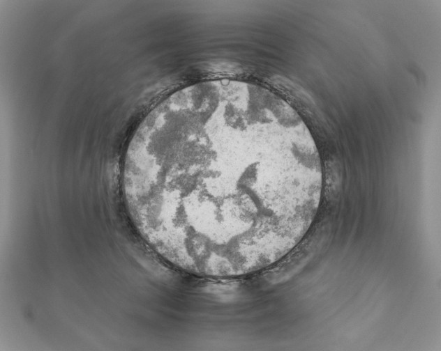 X0000111350369200908211240