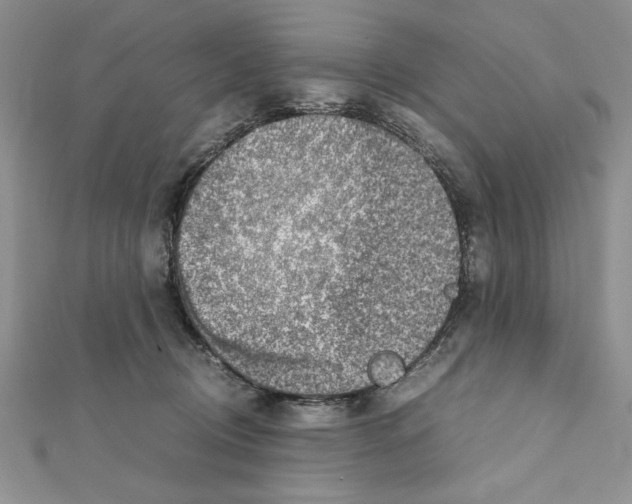 X0000111350370200908211240