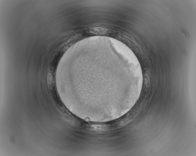 X0000111350371200908211240
