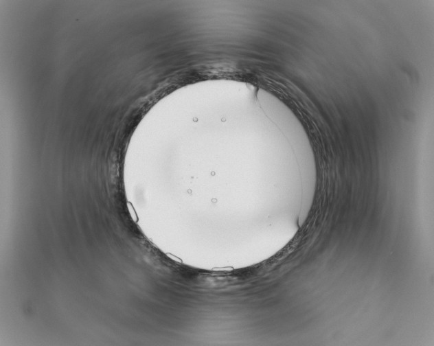 X0000111350372200908211240