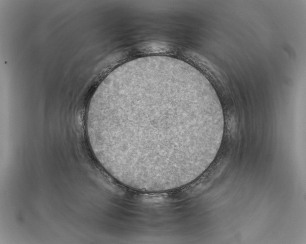 X0000111350373200908211240