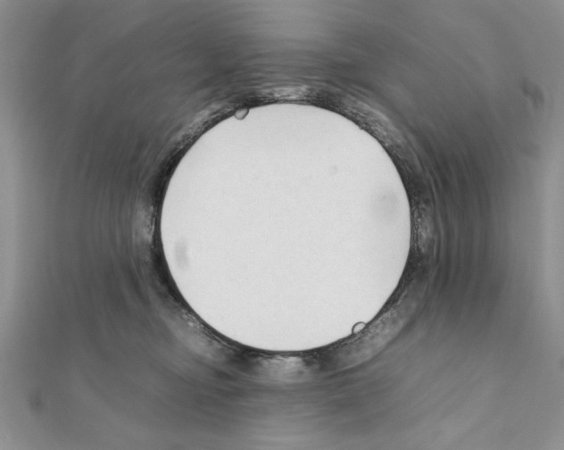 X0000111350374200908211240