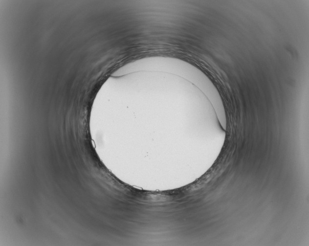 X0000111350376200908211240