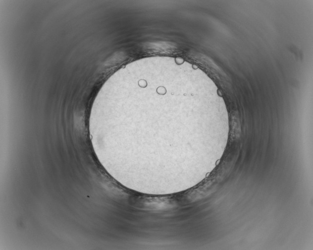 X0000111350377200908211240