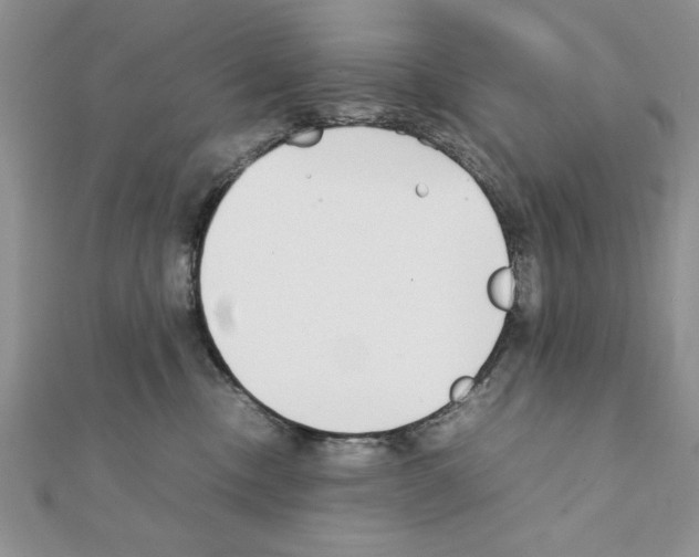 X0000111350378200908211240