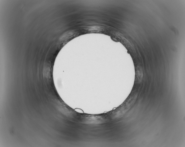 X0000111350379200908211240