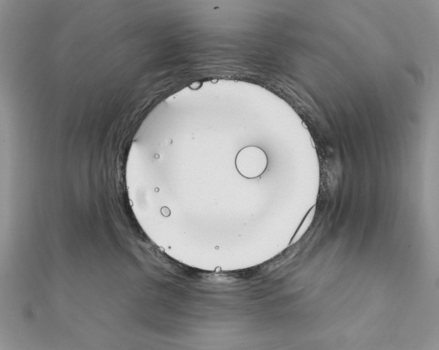 X0000111350380200908211240
