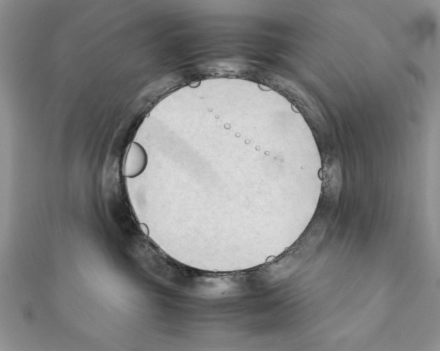 X0000111350381200908211240