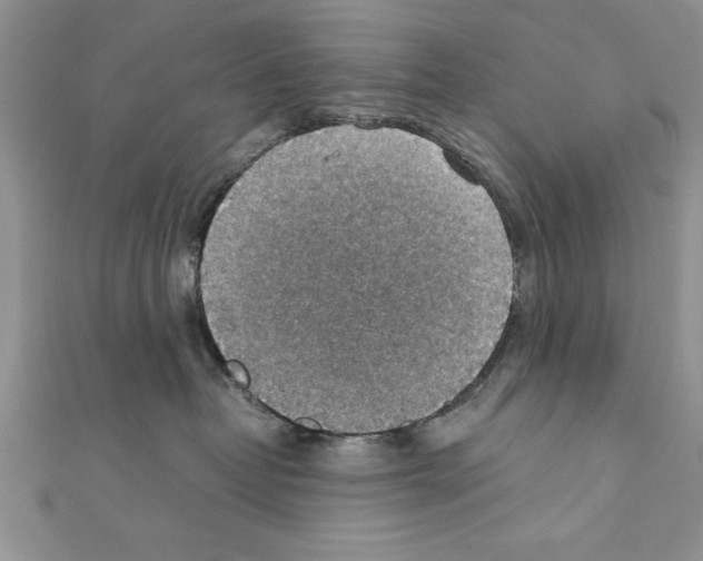 X0000111350382200908211240