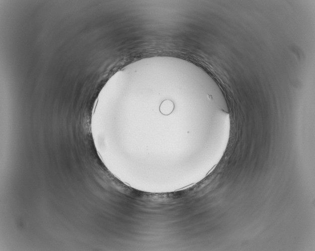 X0000111350384200908211240