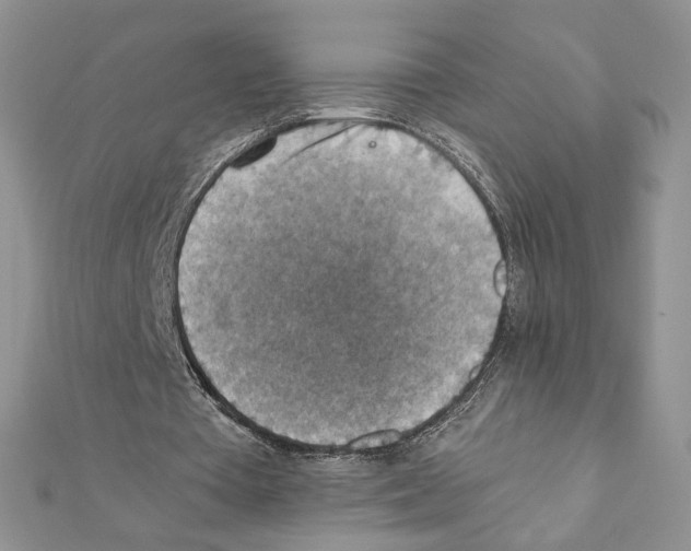 X0000111350385200908211239