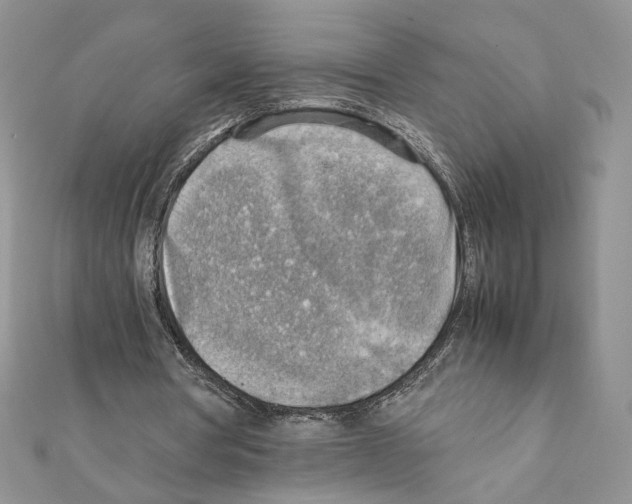 X0000111350386200908211239