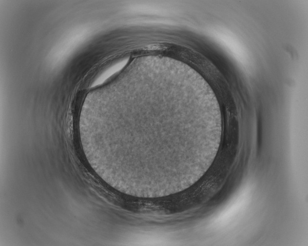 X0000111350387200908211239