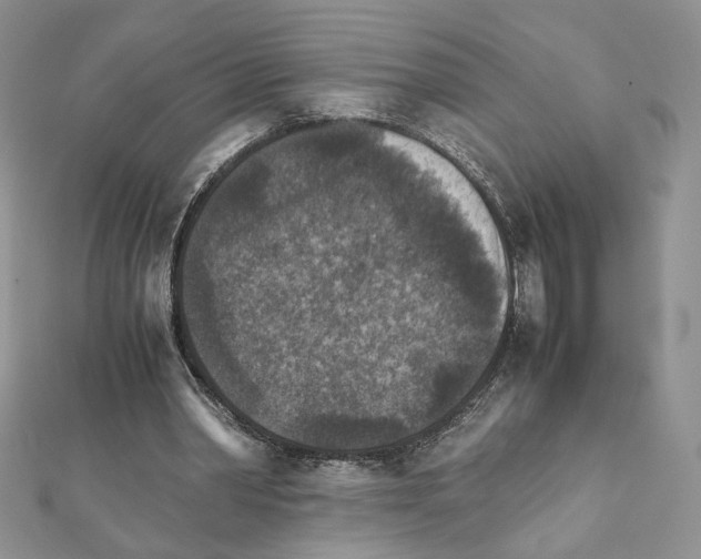 X0000111350390200908211239